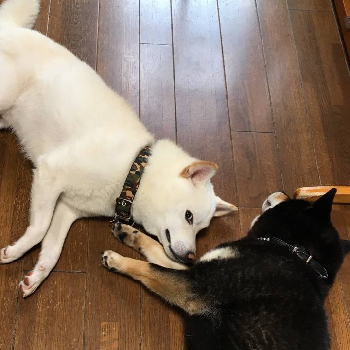 1841e317 1d55 40a6 848b 2b286ff2117d