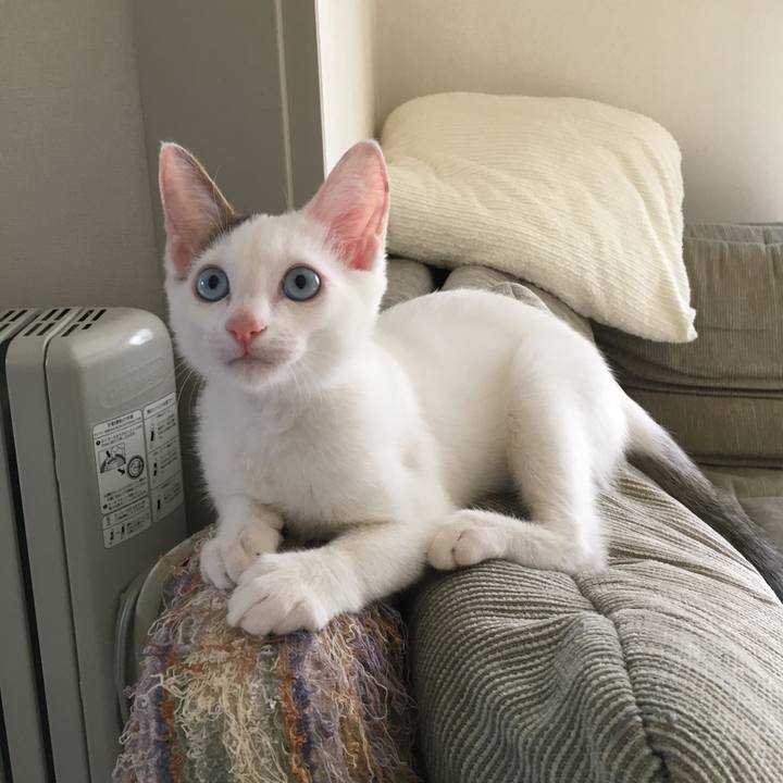 1841e464 aef4 41db a839 9ddc883af2ec