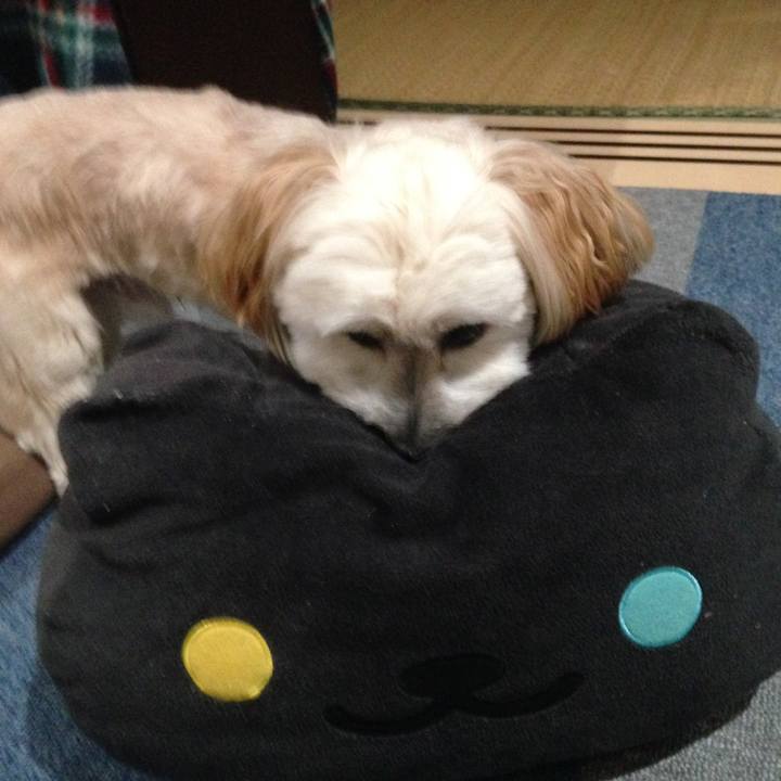 18420871 fe83 46ed 85e7 f1303437679f