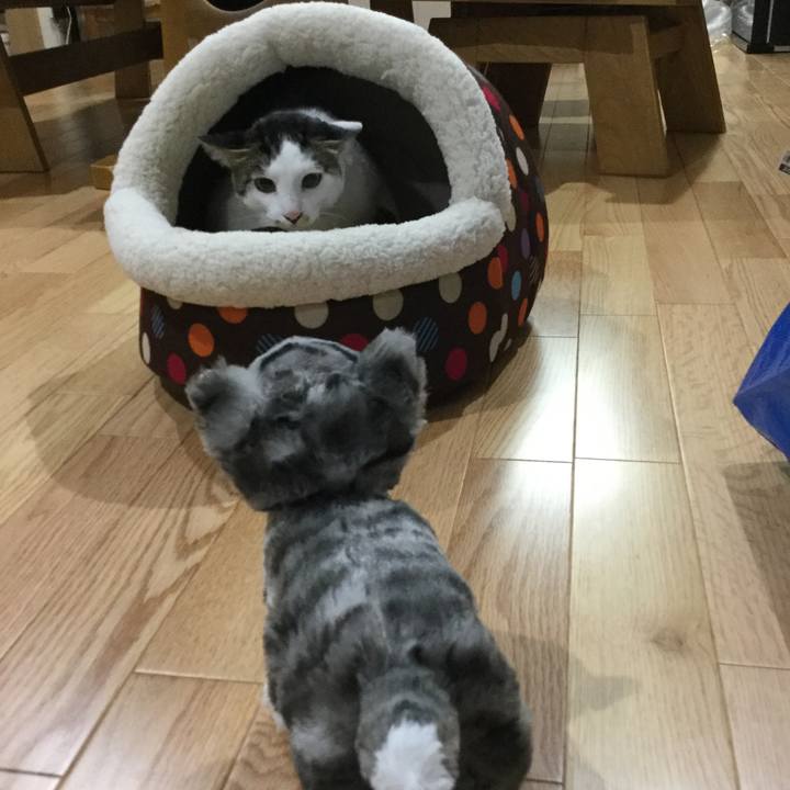 18423dc0 15a3 4251 88ac f4fdef4a5db2