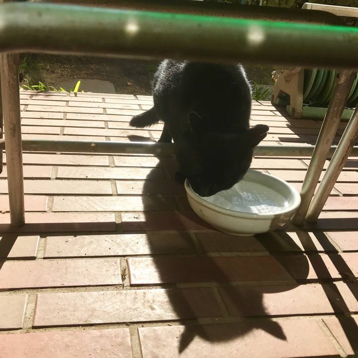 18425127 a2e3 4e9b b72e 1d92f886f666