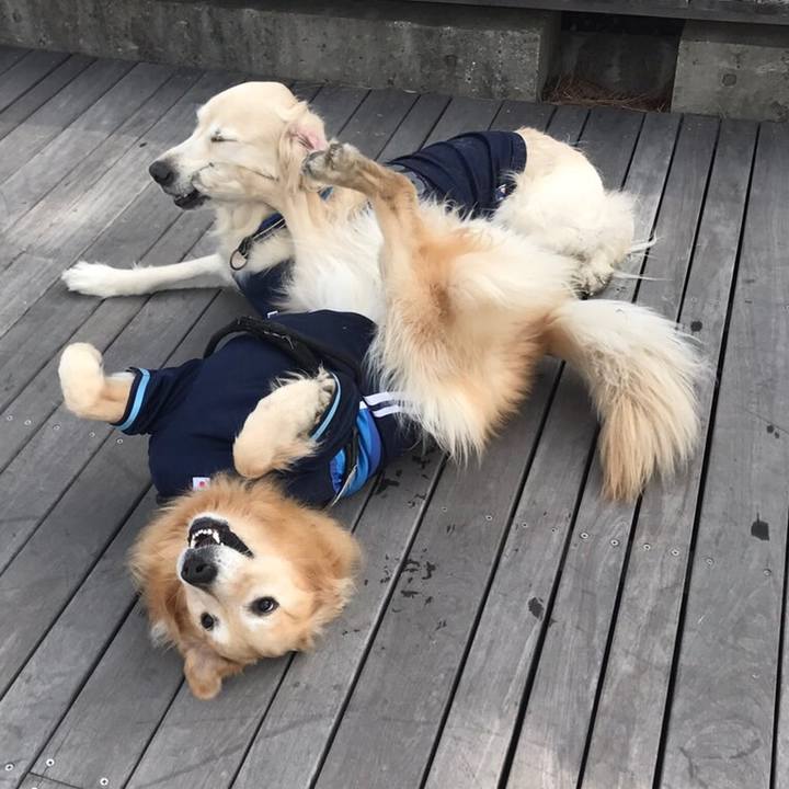 18425371 6cbe 4dda bdb4 c3818020b0b5