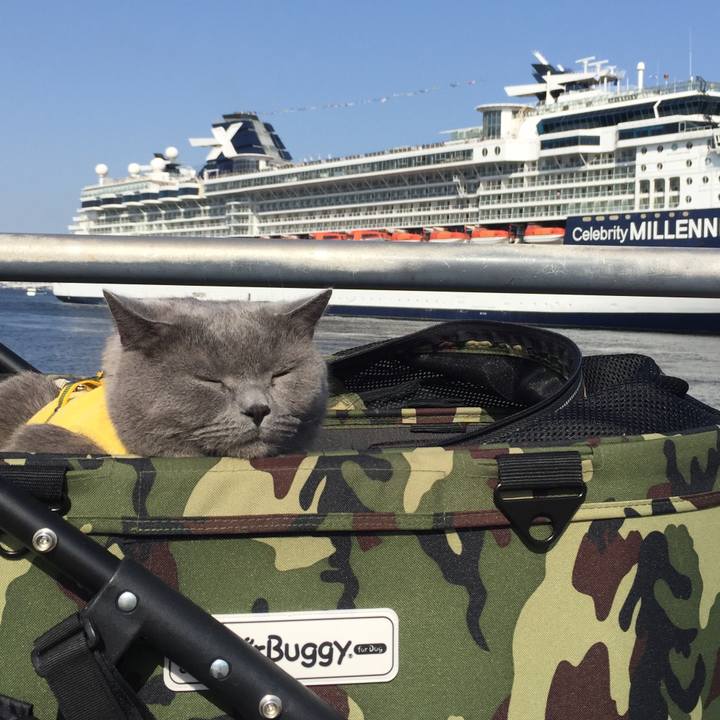 1842e42c 8dd5 4458 bd30 ac60ca0fe62f