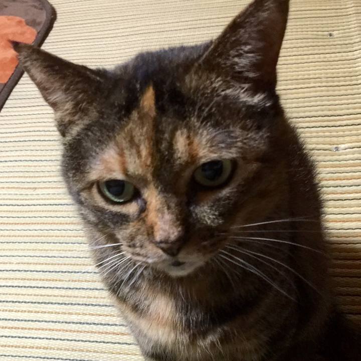 18431bbf 2c7b 4de4 80fc f2f9c16cd20f