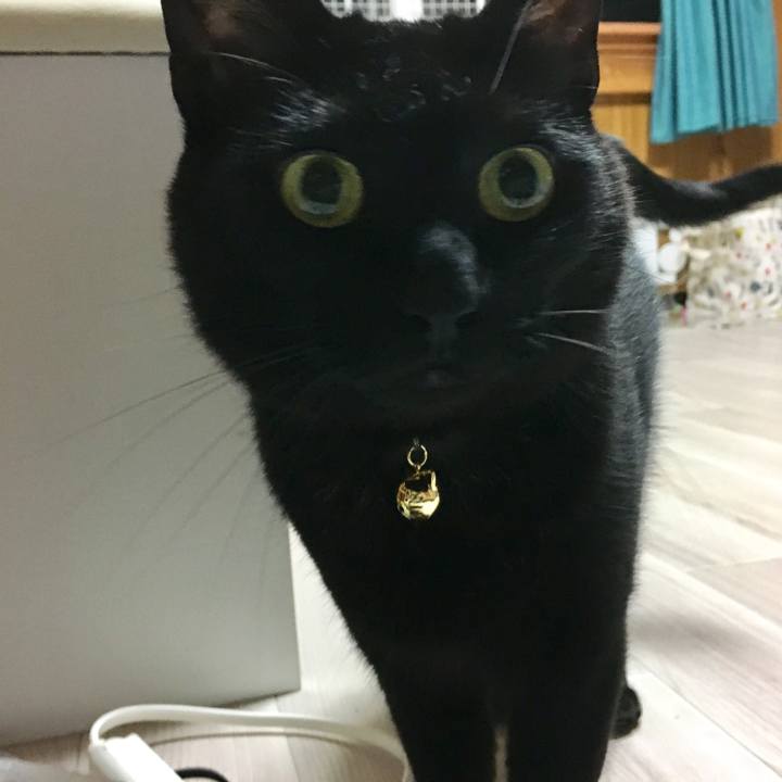 18438218 b089 48ab 87ea 23d8c0d55368