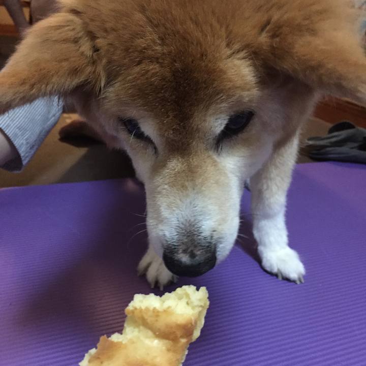 1843a74f a02c 4b4c aad2 f05f72ae448a