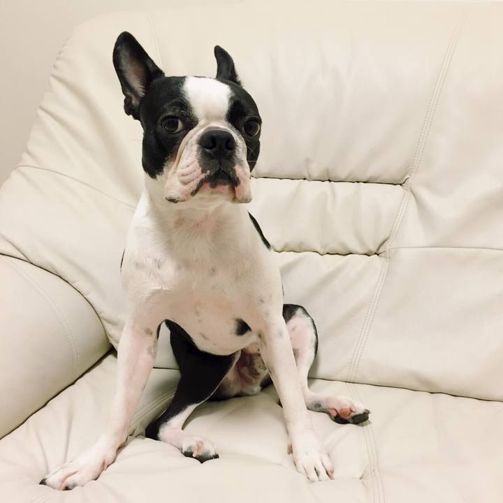 1843f74f 6731 4591 966d aa966f690e41