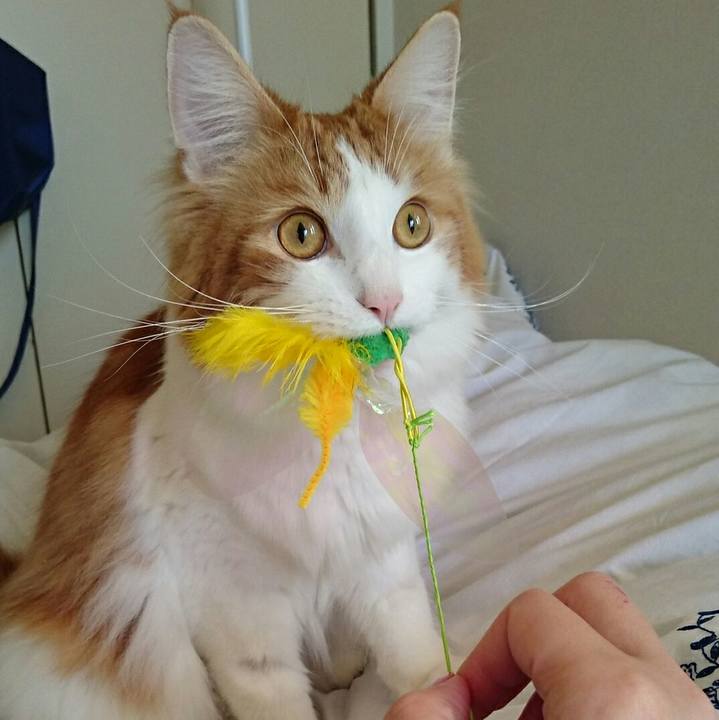 18442f34 4383 48b2 b2e9 1dd5e42f6c09