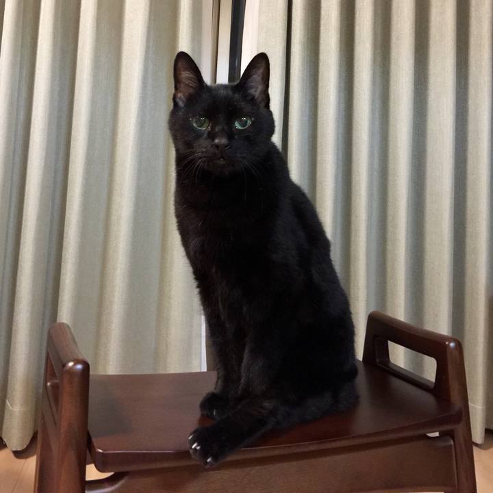 184478f1 9e1f 4fe1 af07 af2f46fbf1bf