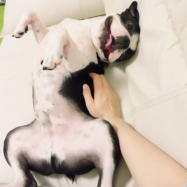 18451261 e498 486d a356 91900cbadd76