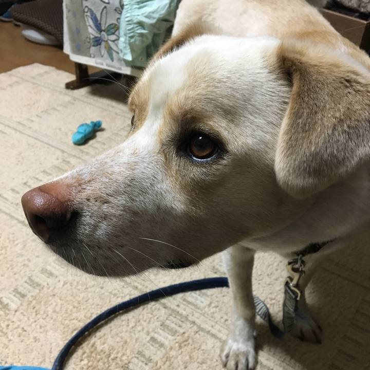 184541fb 8e79 487e 988e 19d318e229a8