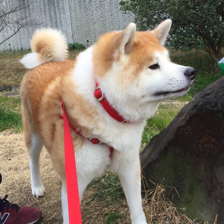 184570c7 6dd2 4e7b bd7c b6bf1e9dc42f