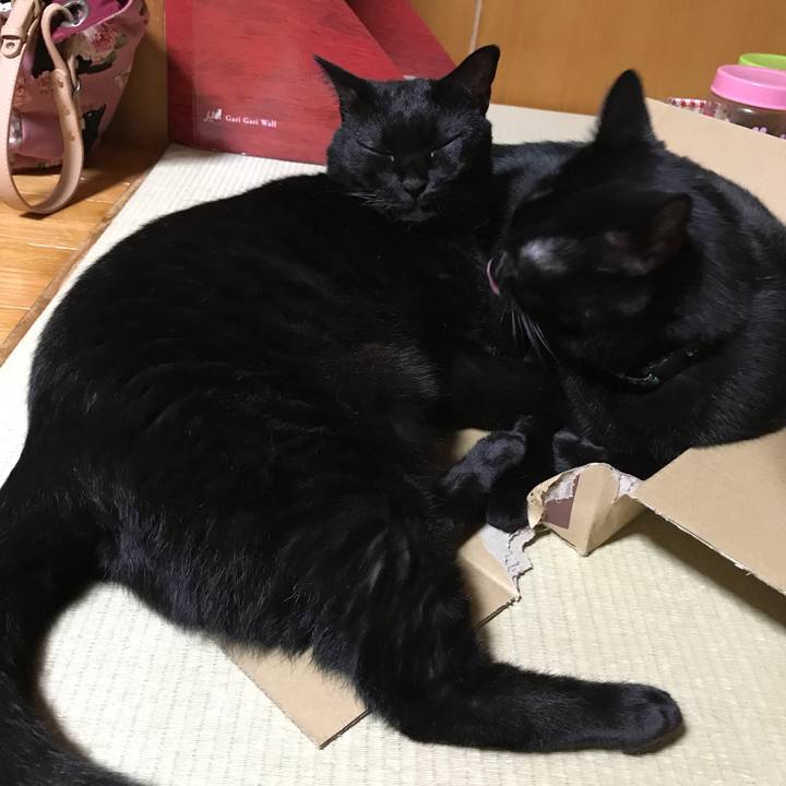 1845abb1 bea7 45e5 9de2 211a938c8be0