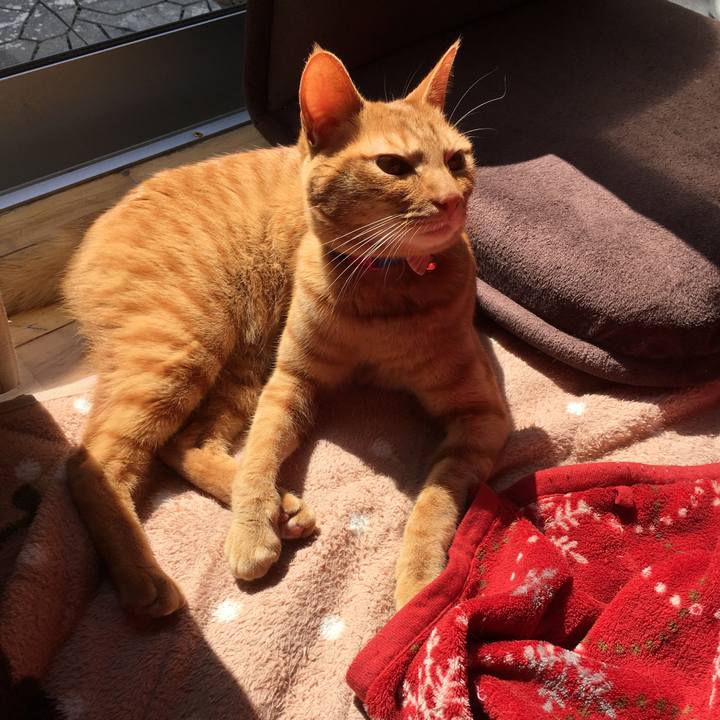 18460814 5c17 4eec 850c bcfc9c4e0033