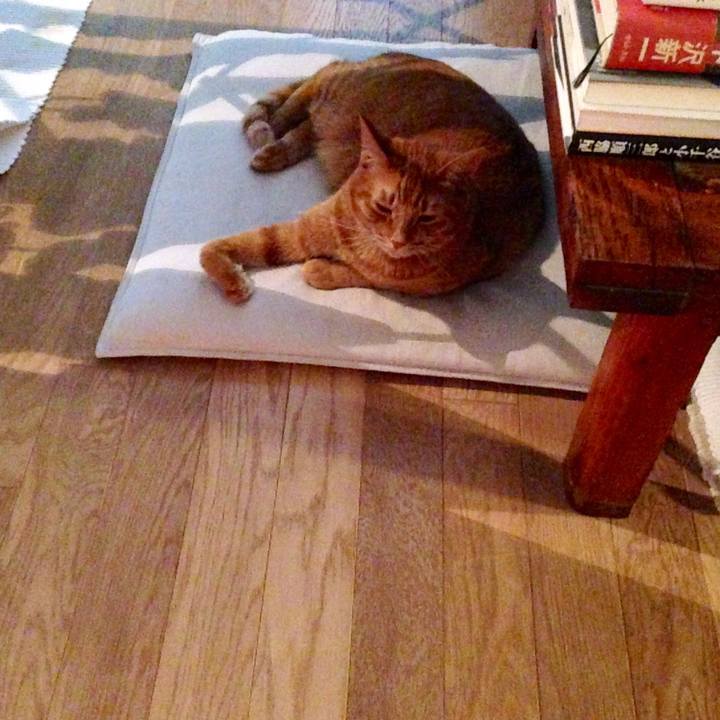 1846b1f2 85a2 4f17 a50e a42c1e712e08