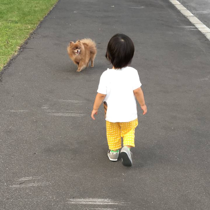 184709cd 31ef 4e96 9645 025b6330d5e4