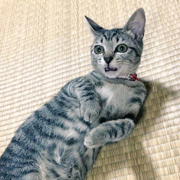 1847e152 74a3 4b95 b151 eced0c02e99c