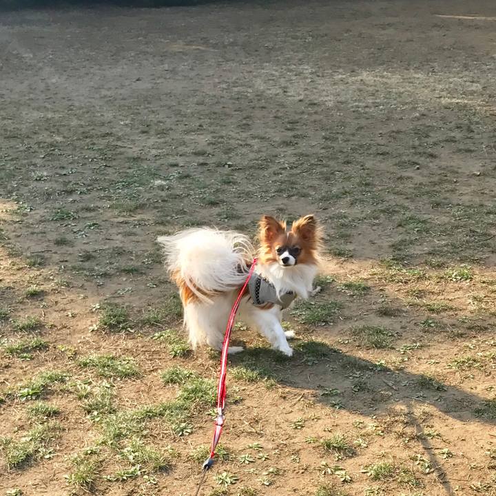 184837bc 5474 4a96 9339 669cb3710d55