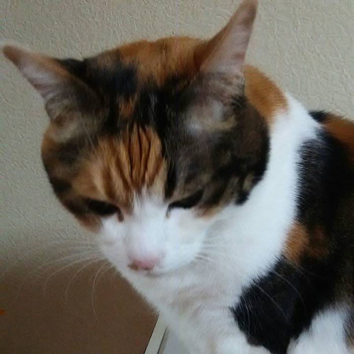 184955b8 779e 448f 89ce 416461d55429