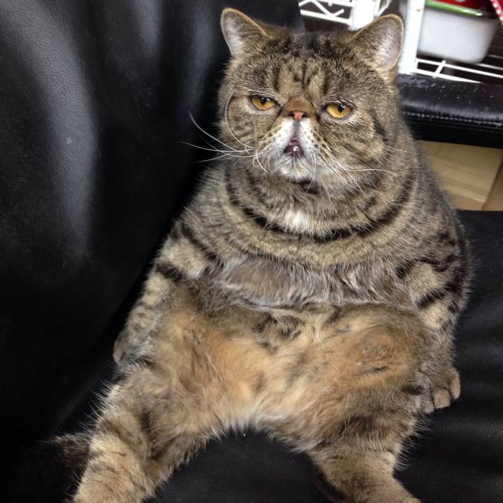 184997df 79a9 45af 96eb 9a588c63b23c