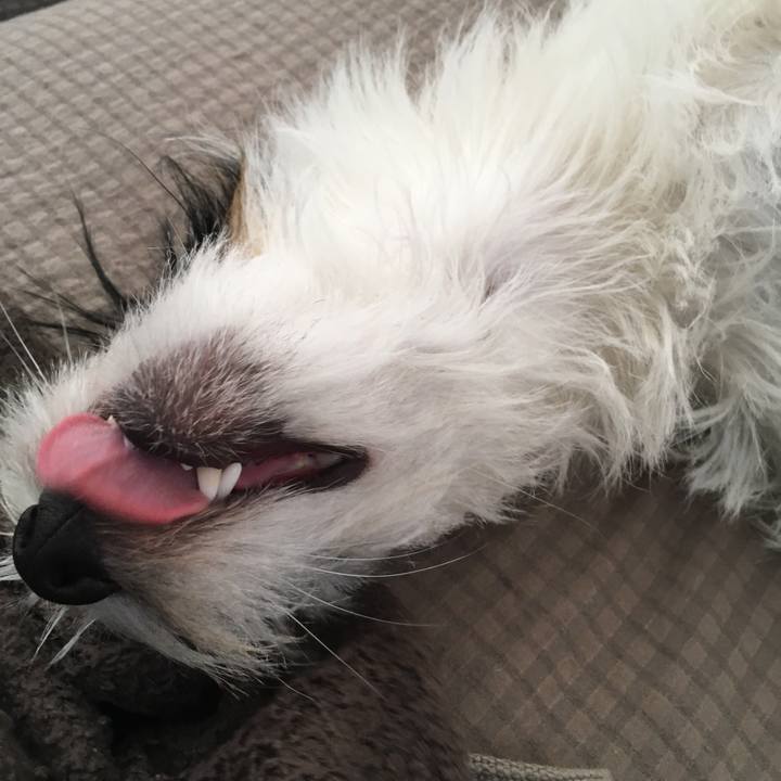 1849aa4f d34c 4aa2 a6ce 14049e9edf61