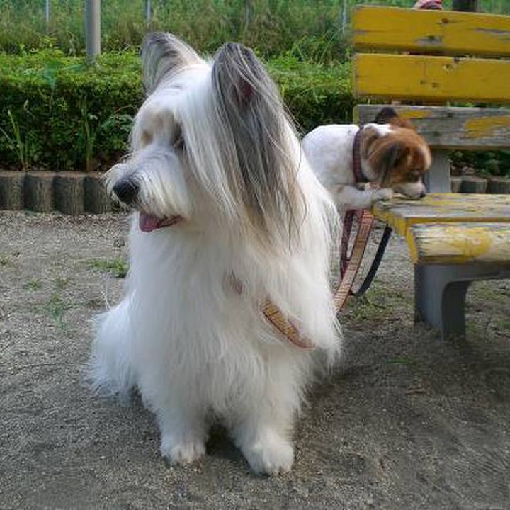 184a8472 9eef 42cb a72b 7d6242b728fe