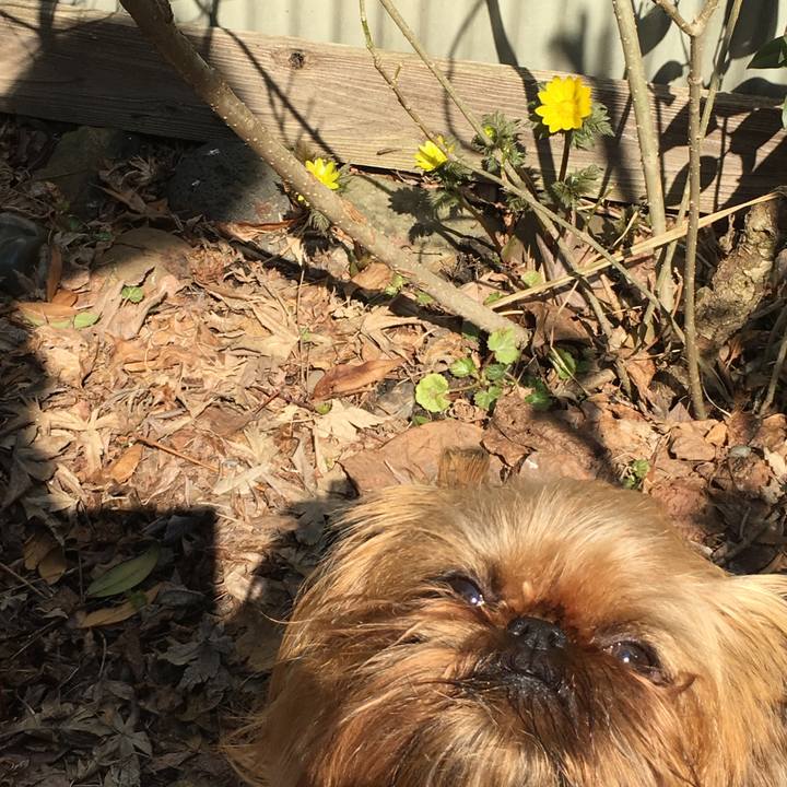 184aa000 6df5 43a3 8c90 ce836ae3ae88