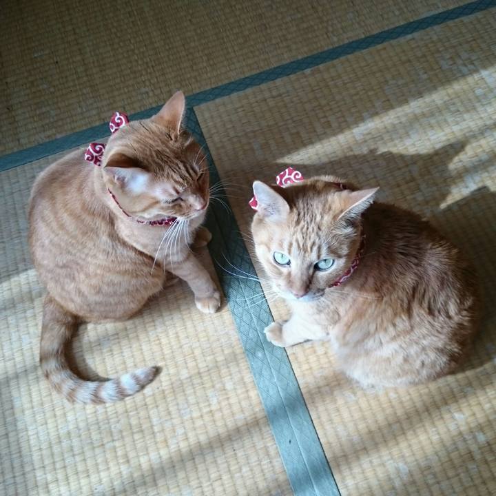 184b374b ffc4 4e81 9933 cd15e8fe7ed8