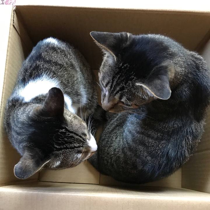 184c14e9 796b 4ffd a23e 7175bd3e125d