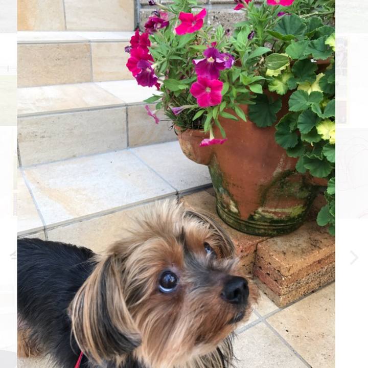 184c6322 c714 4108 806b 94f0f1fd870f