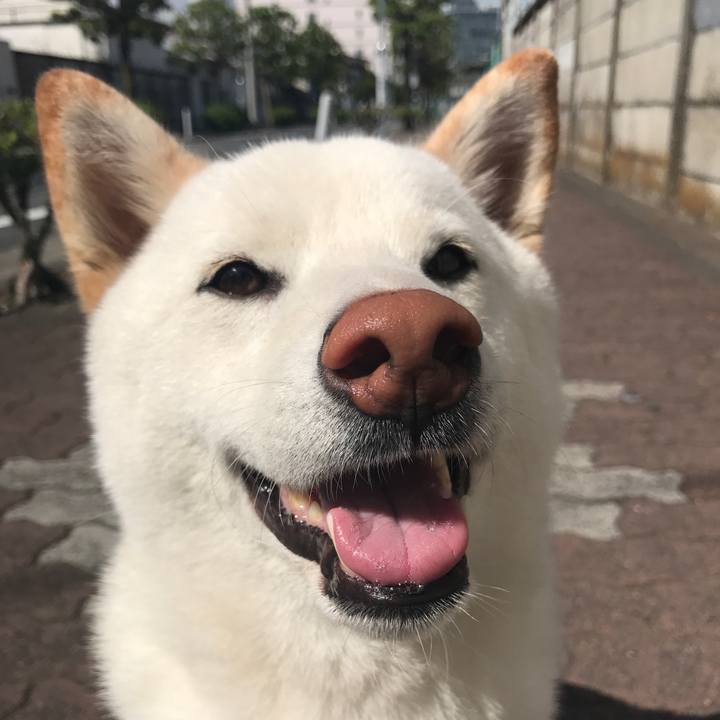 184c7cac b35b 4d1b 90a0 1da28b4521a8