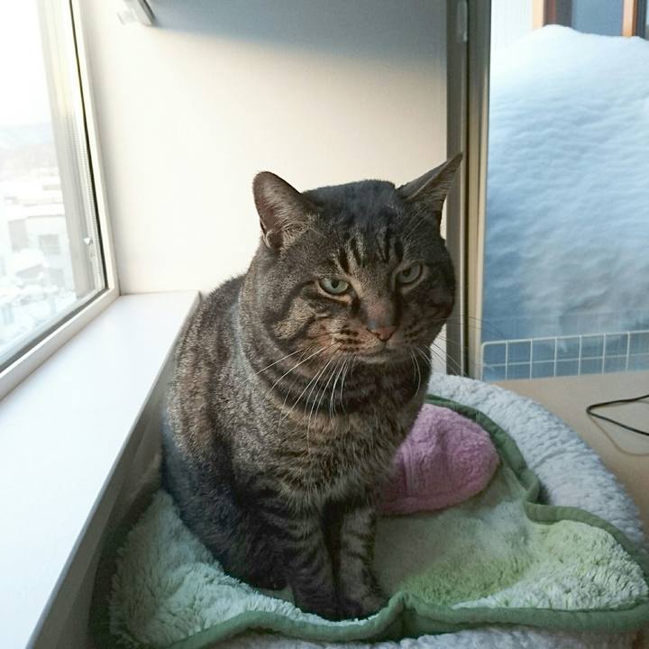 184cfa6a e4c0 4308 b6de 7fa22109fea4