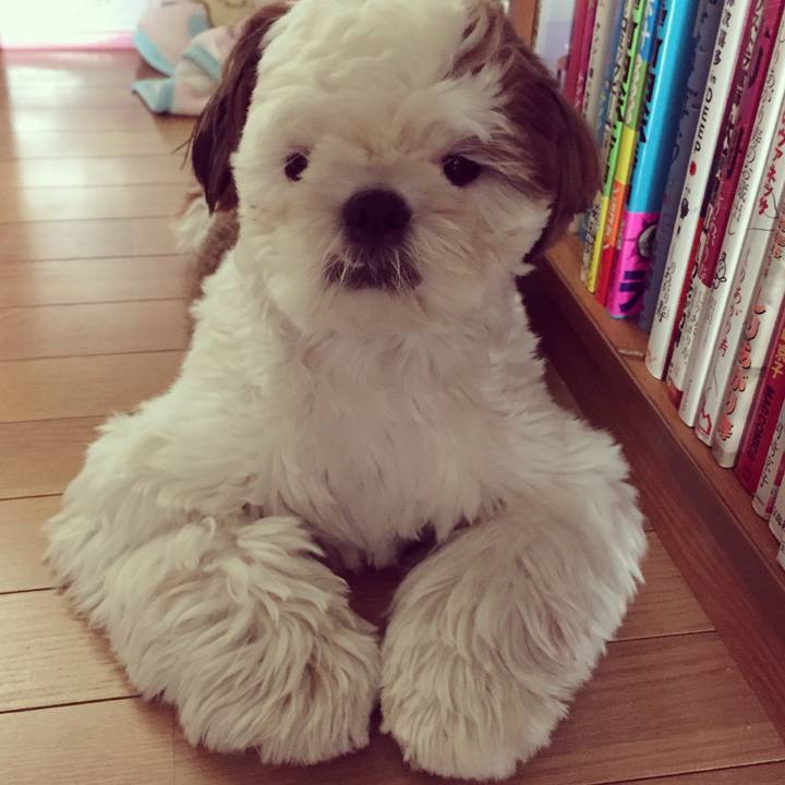 184d4279 056f 4e73 9256 f687915ee7a2