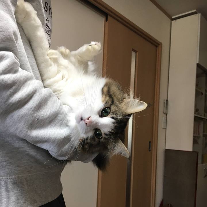 184d85c3 2919 470d b2d5 f75190df2c08