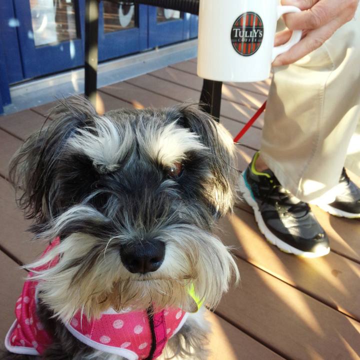 184dd1df d2b5 443c 97f2 38ac1d3adef7