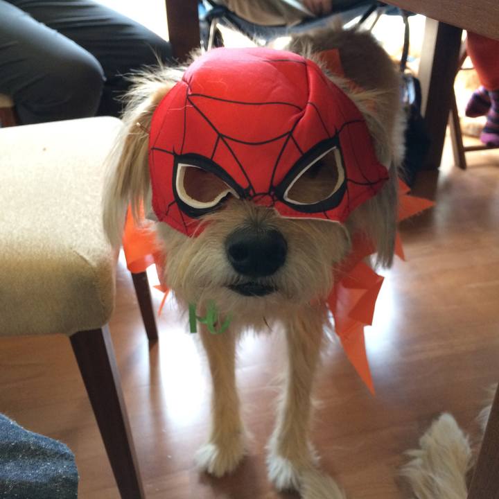 184ddd64 5447 4671 9c2e 99b4cb0b2bd2