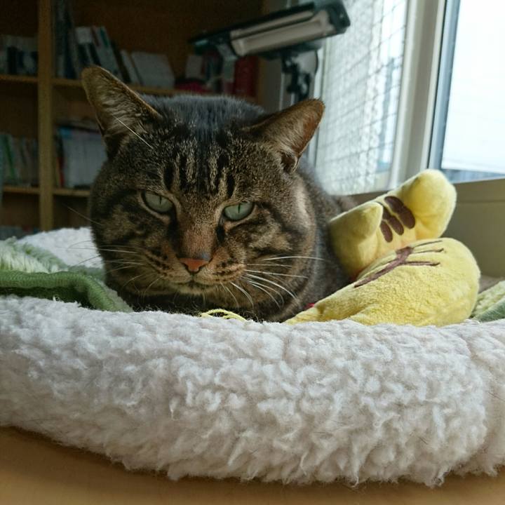 184def06 3601 4276 820c 5c1f3d8664ec