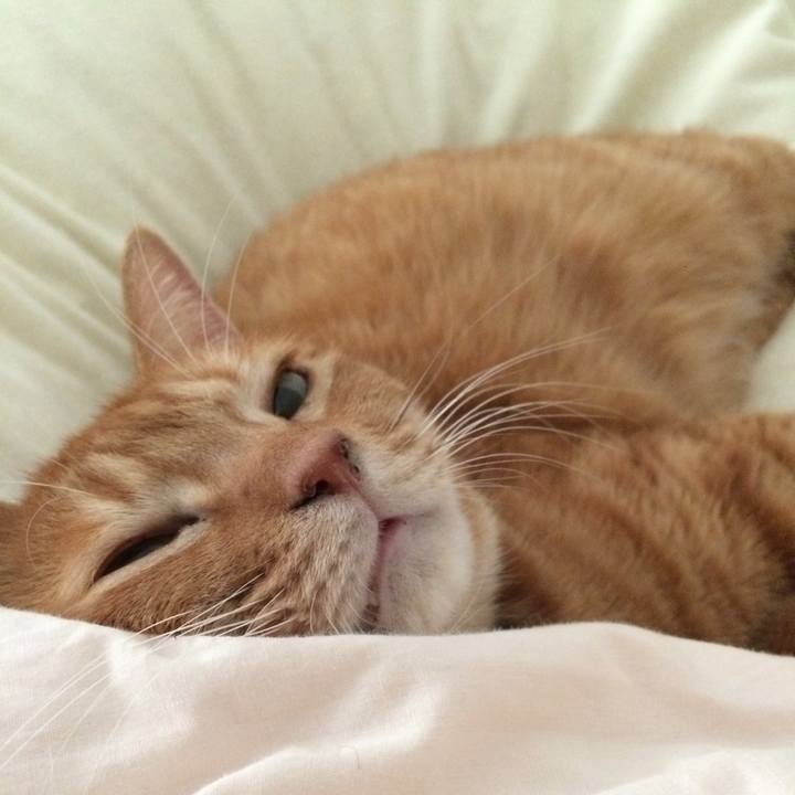 184e4839 4f03 4434 909d 2b69464bb4f5