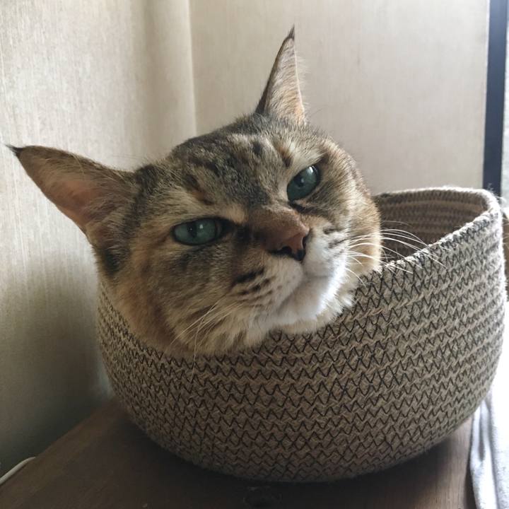 184eb86e 0e2b 4bf7 b35f bf91fb8d67f8