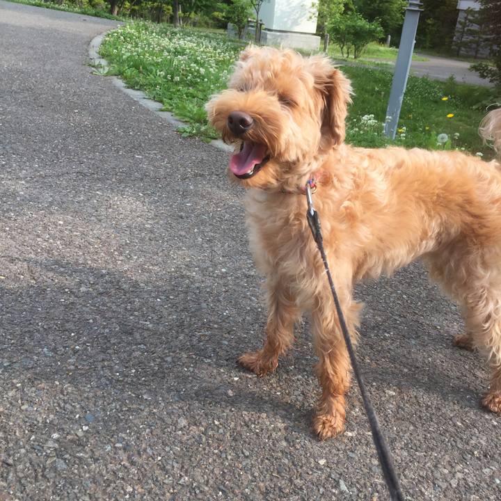 184fadc9 42c6 4896 8074 401984965aa9