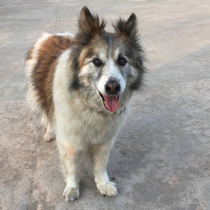 184fd2a8 2a52 478e 8727 1503bd71968c