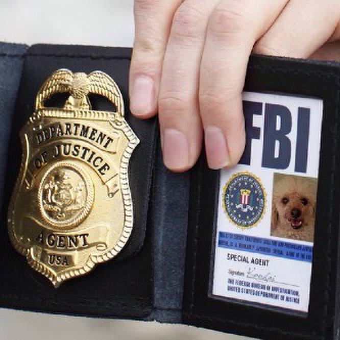 184fece3 33ba 45f2 b748 a152edc858e9