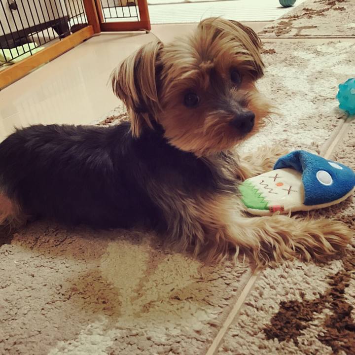 185046be fd54 4e4b 8da3 0b0d89b51381