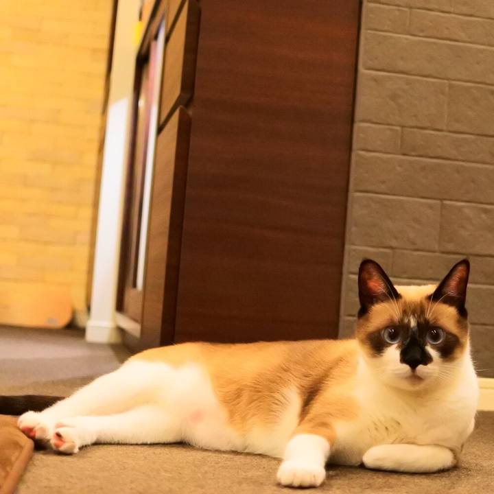 18505773 1c97 4c69 b680 0df188af5cd5