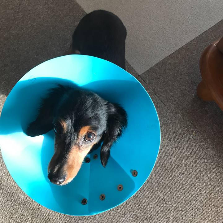 18507883 8ff7 4753 af89 08006cea3ed7