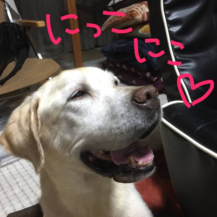 18510e41 21bd 48f0 a738 bc5736a8f4a2