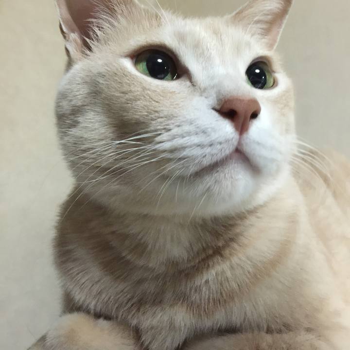 18512490 502c 4786 bace 986e3998511e