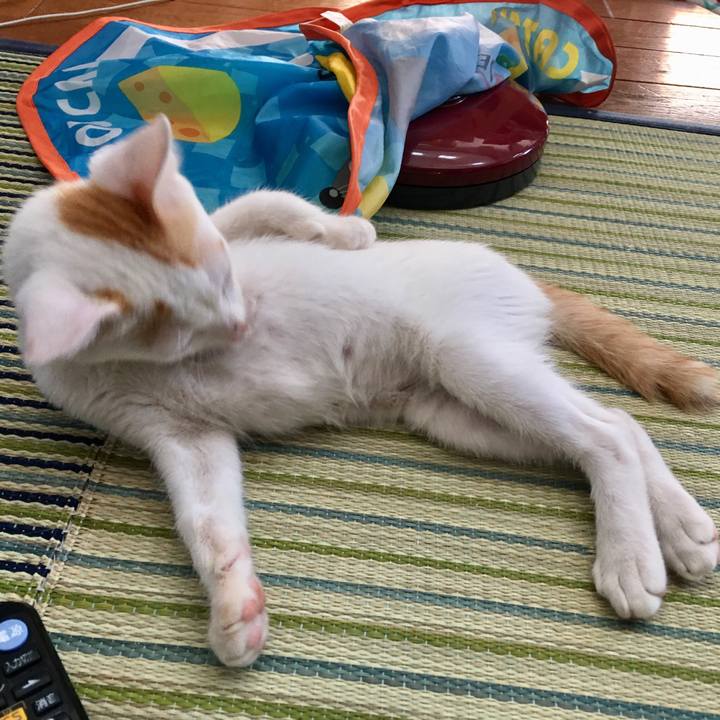 185258f6 1d62 4808 a6b4 ead29aece362