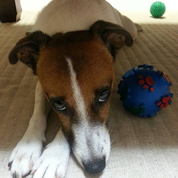 18526357 2174 488b a2c3 dc930a133e82