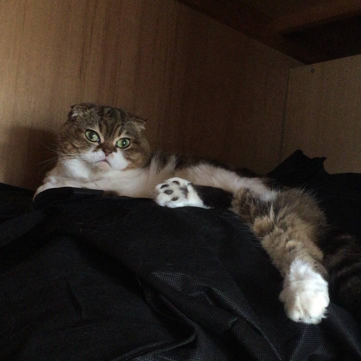 18536e2d 475d 448f 9b9e 776a3000a355